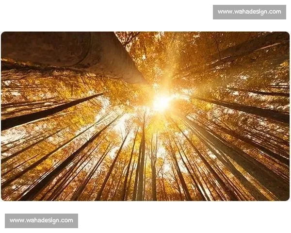 三分雨中看人间冷暖与情感流转的静美叙事新篇章城市心灵回声与思索